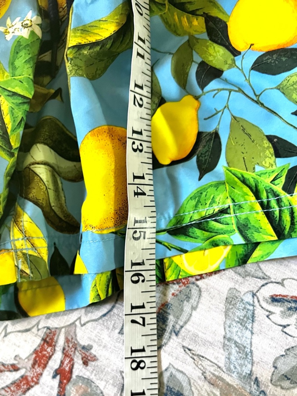 Speedo Lemon Print Swim Trunks Small Blue Citrus Swim Shorts Beach Pool Vacation - Picture 6 of 6